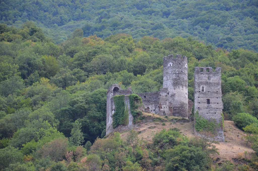 2015-07 Savoie/Refuge du saut/DSC_0303.JPG